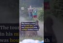 Bison launches tourist into the air at Yellowstone