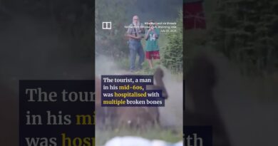 Bison launches tourist into the air at Yellowstone