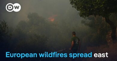 Blazes hit Greece, Italy and Turkey | DW Current Affairs