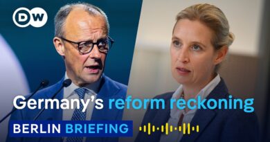 Boost or bust the AfD? Inside Friedrich Merz’ gamble to reform Germany | Berlin Briefing