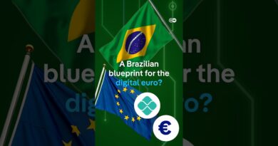Brazil made digital payments simple. Why can’t Europe? | DW News
