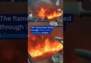 Camera records rapid spread of Spanish wildfire | DW News