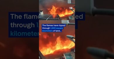 Camera records rapid spread of Spanish wildfire | DW News