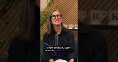 Cathie Wood: The AI Boom Is Just Beginning