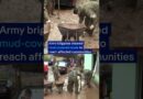 Chilean army and police rescue families cut off by floods | DW News