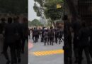 CJP Protest विरोध-प्रदर्शन को देखते हुए सुरक्षाबलों के जवान संसद का गेट बंद करने को दौड़े