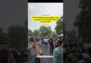 CJP Protesters Swarm Ahead of the March to Parliament | The Quint