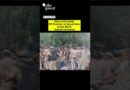 CJP’s ‘Chalo Sansad’ Protest March: Police Lathi-Charge Protesters at Sansad Marg | The Quint
