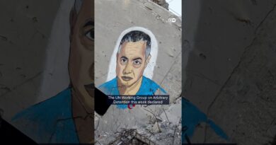 Detention of prominent Palestinian doctor ‘arbitrary’, says UN rights body | DW News