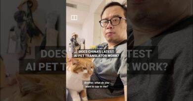 Does China’s latest AI pet translator work?