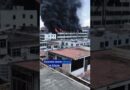 Dozens killed in massive China shoe factory fire | DW News