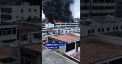Dozens killed in massive China shoe factory fire | DW News