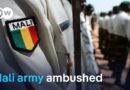 Dozens of Mali soldiers killed in major al-Qaeda ambush | DW News