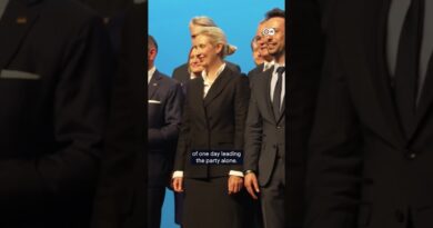 Elections, power and far-right extremists at AfD meeting | DW News