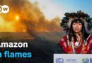 Endangered Amazon – Why the Earth’s lungs are dying | DW Documentary