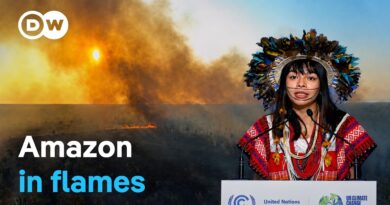 Endangered Amazon – Why the Earth’s lungs are dying | DW Documentary