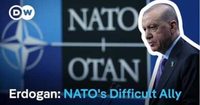 Erdogan hosts NATO: A difficult, but indispensable ally? | DW News