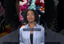 EU bans destruction of unsold clothes | DW News