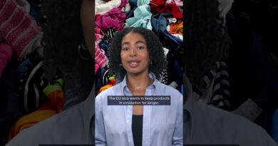 EU bans destruction of unsold clothes | DW News