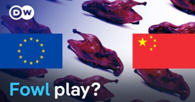 EU targets Peking Duck in dumping probe | DW News