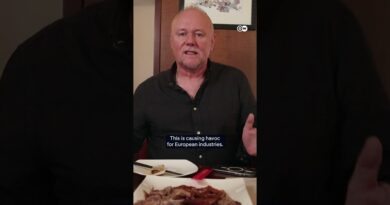 EU targets Peking Duck in dumping probe | DW News