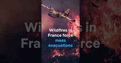 Evacuations ordered as wildfire threatens communities in southwest France | DW News
