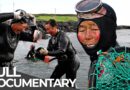 Every Dive Could Be Their Last | Haenyeo: South Korea’s Most Dangerous Tradition | Free Documentary