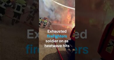 Exhausted firefighters soldier on as heatwave hits France | DW News