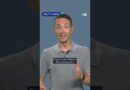 Fact check: AI-generated history videos — how to spot the fakes | DW News