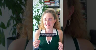 Fact check: Child trafficking on Vinted? | DW News