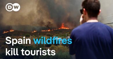 Foreign tourists caught in deadly Spain wildfire | DW News