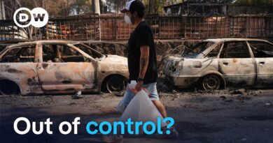 France and Spain race to control fires as new heatwave hits | DW Current Affairs