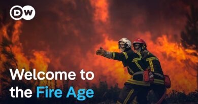 France and Spain’s wildfires: Is the worst yet to come? | DW News