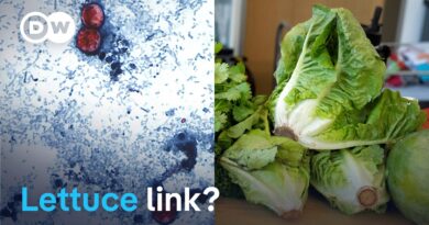 Fresh produce identified as possible source of US parasite outbreak | DW News