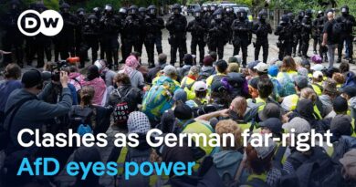 German police clashed with left-wing activists protesting the AfD’s party congress | DW News