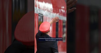 Germany sees spike in attacks on train employees | DW News