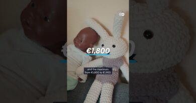 Germany’s parental benefits reform draws criticism | DW Shorts