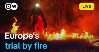 Has Europe lost control of its wildfires? | DW News