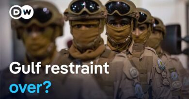 Have Gulf nations begun their fightback against Iran? | DW News