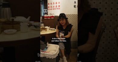 Hong Kong restaurants welcome dogs after 32-year ban