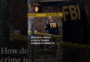 How does violent crime in Europe compare to America?