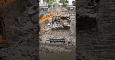 How Germany is rebuilding to prevent another deadly flood | DW News