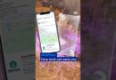 How tech can mitigate wildfires | DW News