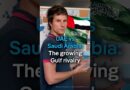 How the Iran war fueled the rivalry between the UAE and Saudi Arabia | DW News