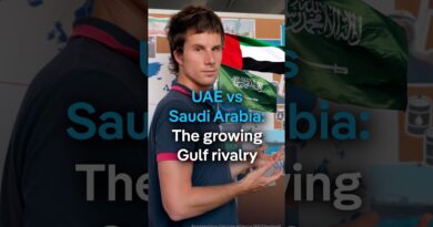 How the Iran war fueled the rivalry between the UAE and Saudi Arabia | DW News