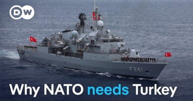 How the Ukraine war made Turkey a key NATO ally | DW News