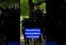 How the #USArmy trains #horse #soldiers for one of its most sacred missions. #military #Arlington