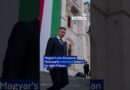 Hungarian lawmakers vote to oust Orban ally president | DW Shorts