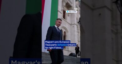 Hungarian lawmakers vote to oust Orban ally president | DW Shorts
