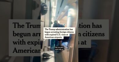 ICE Arrests Surge at Airports, Targeting Holders of Expired Visas